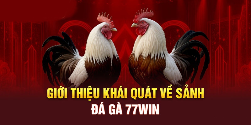 Đá gà 77win cùng những trải nghiệm thú vị bậc nhất