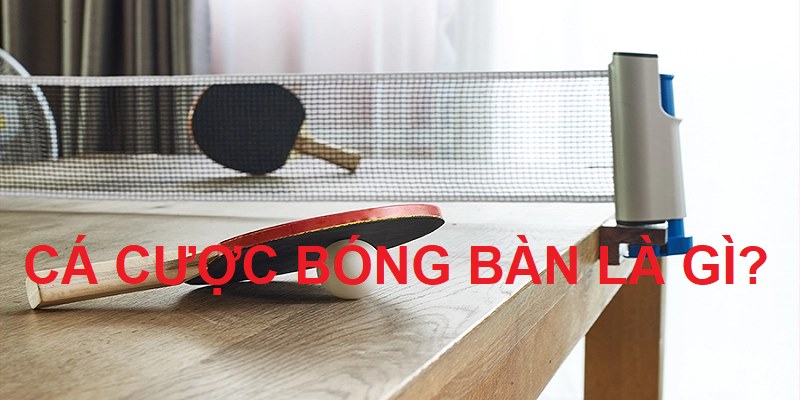 Cá cược bóng bàn khiến bạn phải say mê