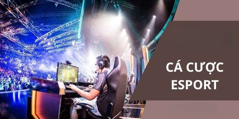 Cá Cược Esports - Hình Thức Giải Trí Hiện Đại Hợp Xu Hướng